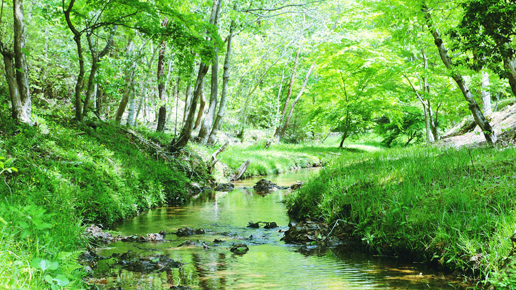 유익한 연박 플랜 「연박으로 ECO 플랜」의 소개